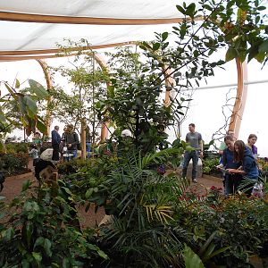 Butterfly House - 23/05/2015