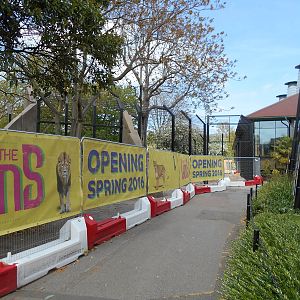 Land of the Lions progress - 10/05/2015