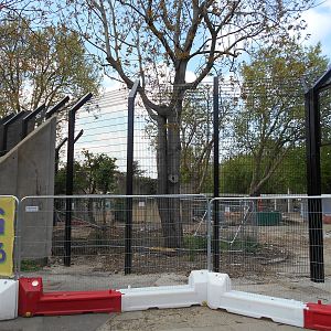 Land of the Lions progress - 10/05/2015