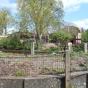 Land of the Lions progress - 10/05/2015