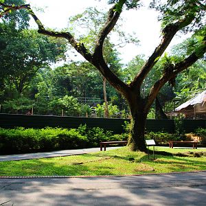 Wild Africa - African Wild Dog exhibit (under construction)