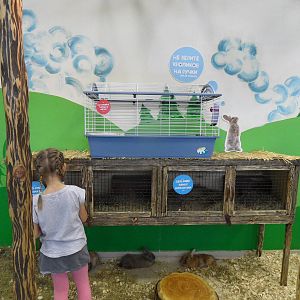 Rabbits and birthing cages