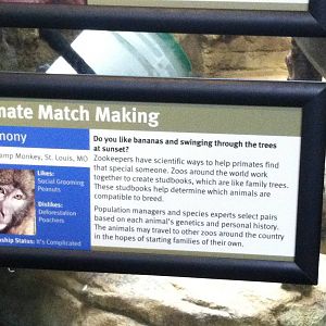 Saint Louis Zoo: Primate House