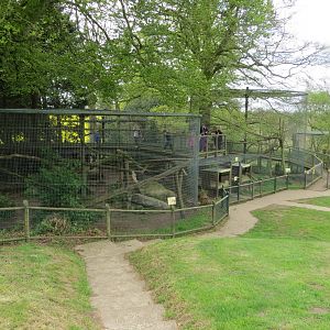 Snow Leopard Enclosure 060515