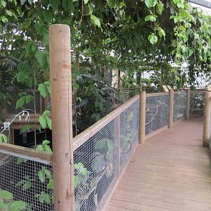 Walkway in Swamp House 060515