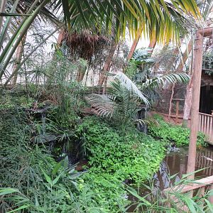 Tropical House 060515