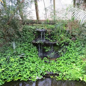 Tropical House 060515