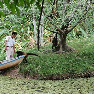 Chucho con su manejador