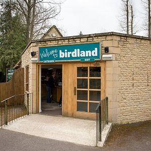 Entrance : Birdland : 19 Apr 2015