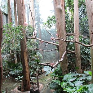 aquatic bird house bronx zoo