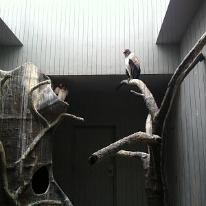 Saint Louis Zoo: Bird House