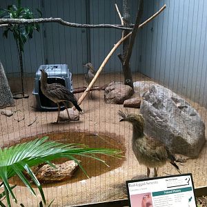 Saint Louis Zoo: Bird House