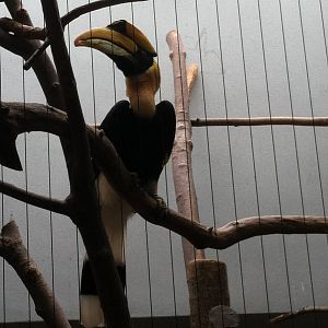 Saint Louis Zoo: Bird House