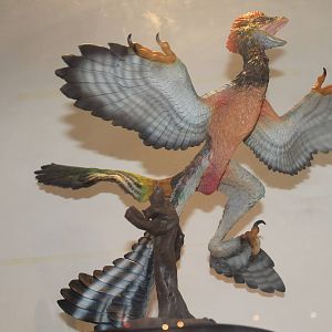model of Anchiornis huxleyi