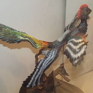 model of Anchiornis huxleyi