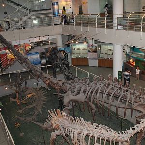 dinosaur hall