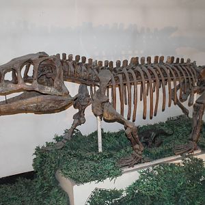 Shansisuchus shansisuchus