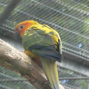 Animal Education Centre- Id?