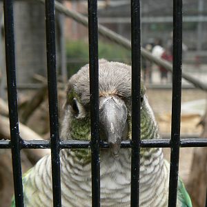 Animal Education Centre- Id?