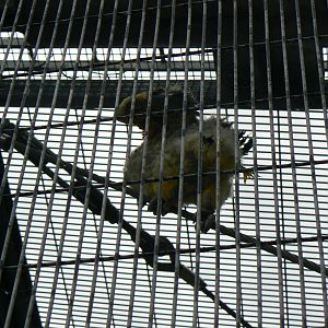 Animal Education Centre-