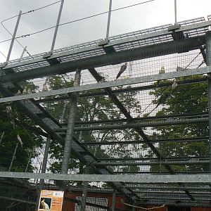 Animal Education Centre- Cockatiel Aviary