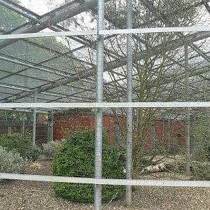Animal Education Centre- Walkthrough Aviary