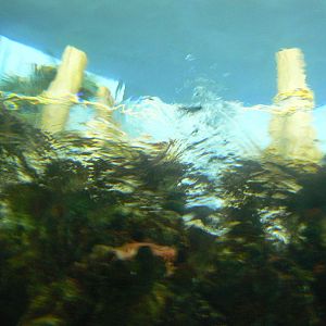 Lagoon Of Light- Underwater View