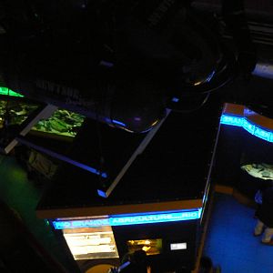 View of Deep Blue One