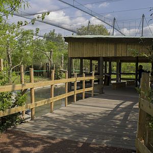 Okapi enclosure - Viewing lodge
