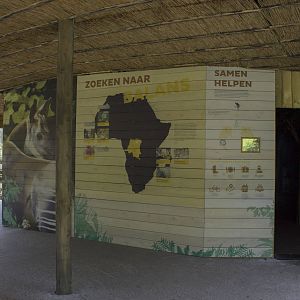 Okapi enclosure - Viewing lodge