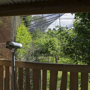 Okapi enclosure - Observation point