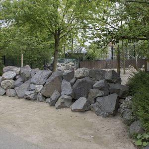 New mhorr gazelle enclosure