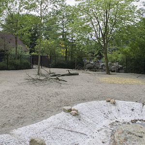 New mhorr gazelle enclosure