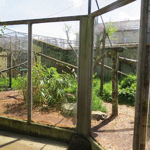 Cat Enclosure 060515