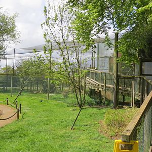 Walkthrough aviary 060515