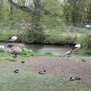 Walkthrough enclosure 060515