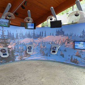 Piper's Den - Polar Bear Exhibit
