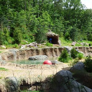 Polar Bear Exhibit