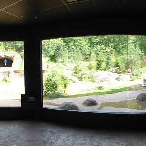 Panoramic View of Polar Bear Exhibit