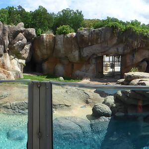 Polar Bear Exhibit - Original Section