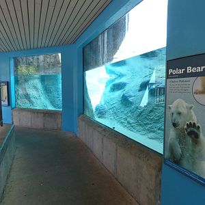 Polar Bear Exhibit - Underwater Viewing
