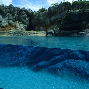 Polar Bear Exhibit - Original Section