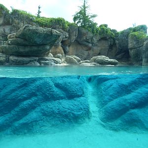 Polar Bear Exhibit - Original Section
