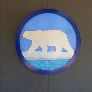 Polar Bear Graphic