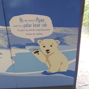 Polar Bear Exhibit - Piper's Den