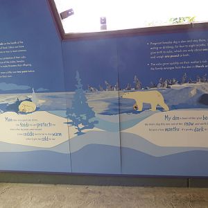 Polar Bear Exhibit - Piper's Den