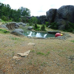 Polar Bear Exhibit - View from Piper's Den