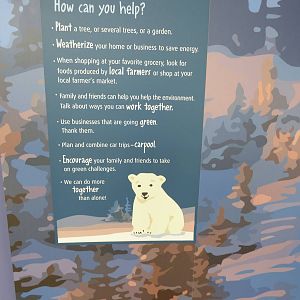 Polar Bear Exhibit - Piper's Den