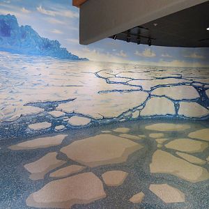 Polar Bear Exhibit - New Section