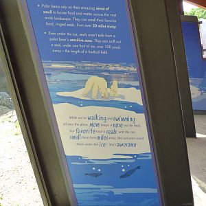 Polar Bear Exhibit - Piper's Den